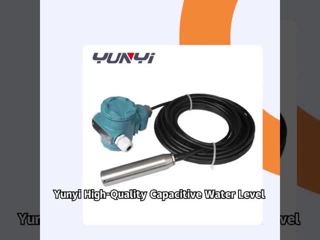 Corrosion-Resistant Wireless Submersible Level Sensor for Corrosive Liquid Measurement Industrial