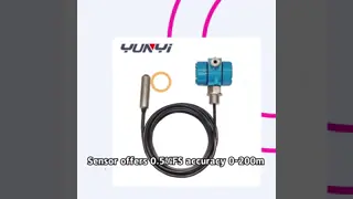 Corrosion-Resistant Wireless Submersible Level Sensor for Corrosive Liquid Measurement Industrial