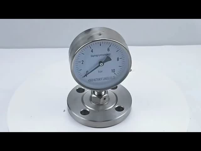 Diaphragm Pressure Gauge with Flange