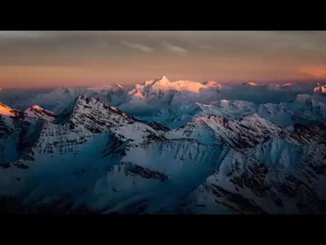 50Hz 60Hz Scroll Compressor Featuring Cooling Capacity 14 Designed for Cooling in Industrial and Commercial Applications