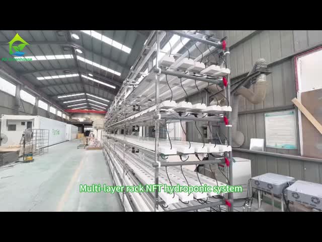 Automated Multi-layer Vertical NFT Hydroponic System with Integrated LED Lighting for Soilless Cultivation