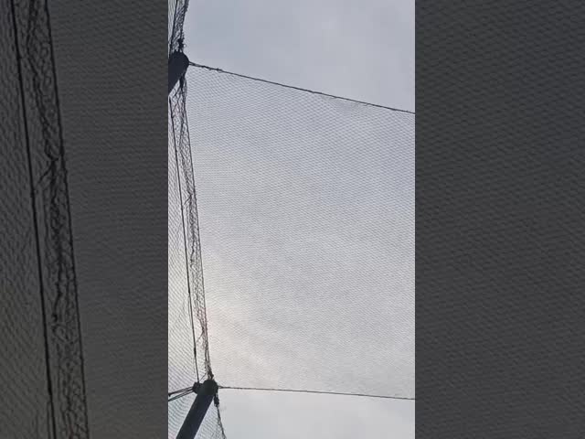 3mm Wire Diameter 50mm Mesh Size Stainless Steel Rope Mesh for Anti-Fall Safety Fence and Zoo Enclosures