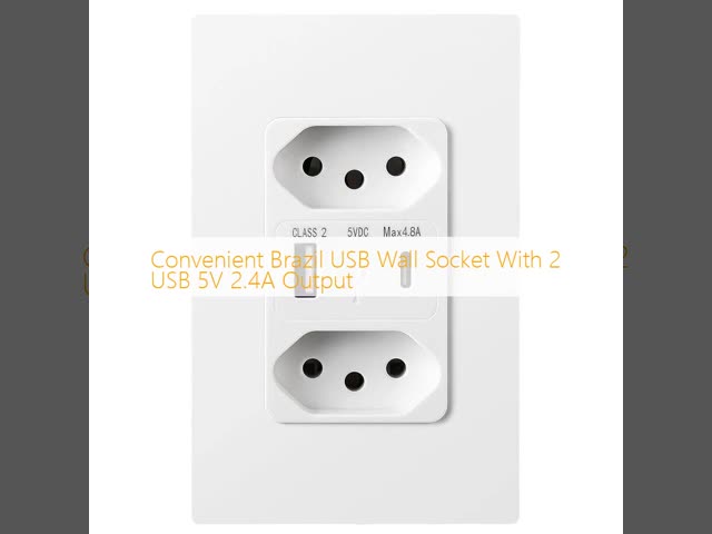Convenient Brazil USB Wall Socket With 2 USB 5V 2.4A Output