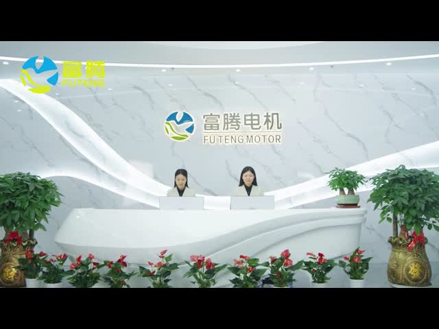 Introduction to Futeng Motor Company