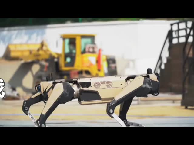 Four-legged Robotic Dog Platform with Mechanical Stability for B2B Applications