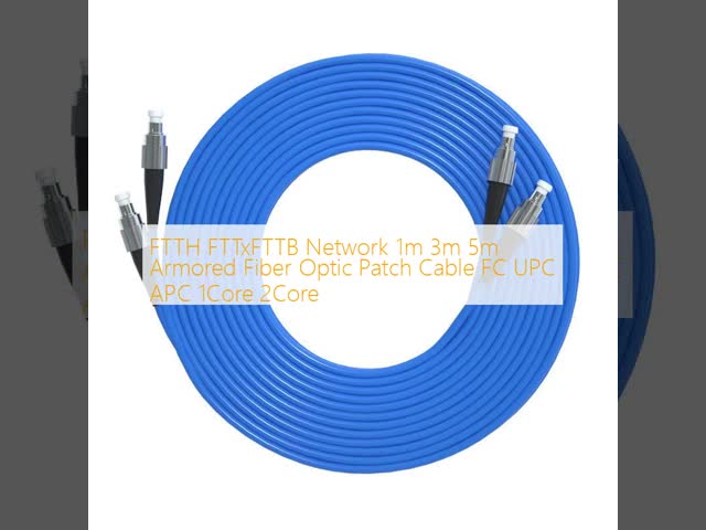 FTTH FTTxFTTB Network 1m 3m 5m Armored Fiber Optic Patch Cable FC UPC APC 1Core 2Core