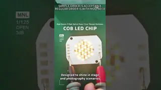 China CE RoHS R20mm LES LED COB Chips 23*25mm 30W LED Chip supplier