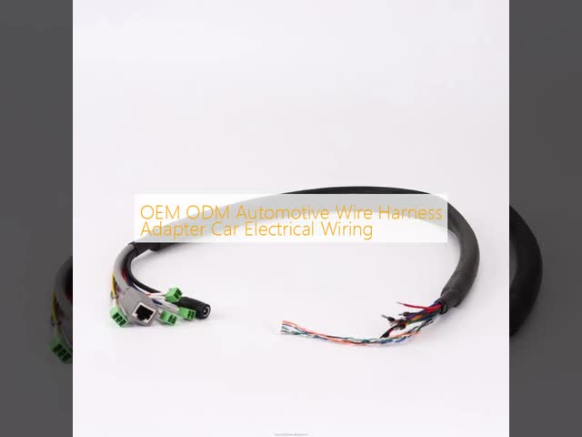 OEM ODM Automotive Wire Harness Adapter Car Electrical Wiring