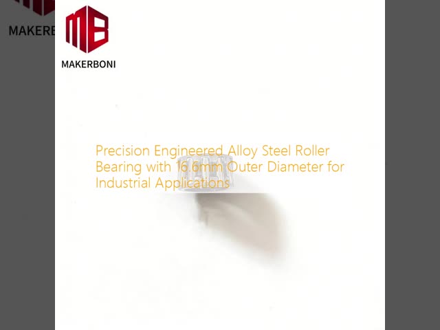 Precision Engineered Alloy Steel Roller Bearing with 16.6mm Outer Diameter for Industrial Applications