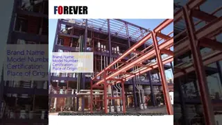 Attrezzatura per la produzione di biodiesel su piccola scala per l'estrazione di energia Catalizzata con acidi