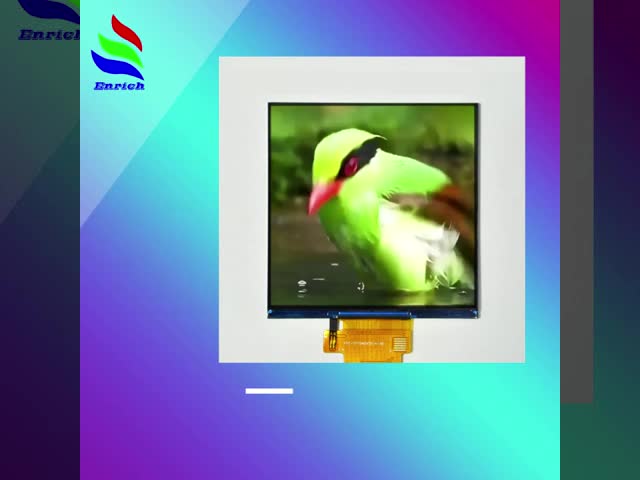 3.95 Inch TFT LCD Module with 480x480 Resolution IPS Viewing Angle and RGB Interface Touch LCD Display