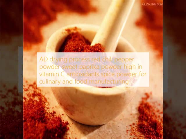 Premium AD Drying Process Paprika Chilli Pepper Powder High in Vitamin C with 80-220 ASTA for Culinary and Food Manufacturing