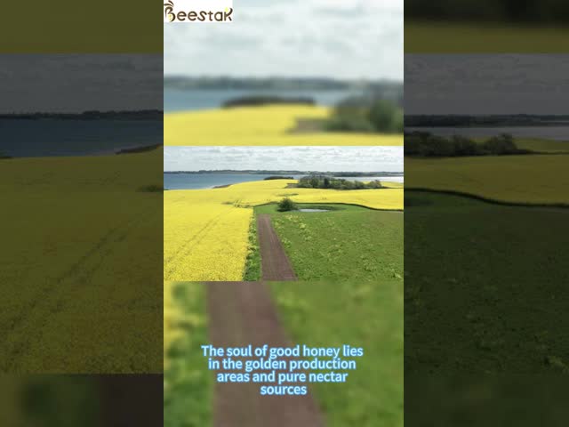 Organic Glass Jar Honey Sidr And White Acaica honey 2-Year Shelf Life Premium Amber Bottle Gift Box Packaging For Desserts Gift Box From China