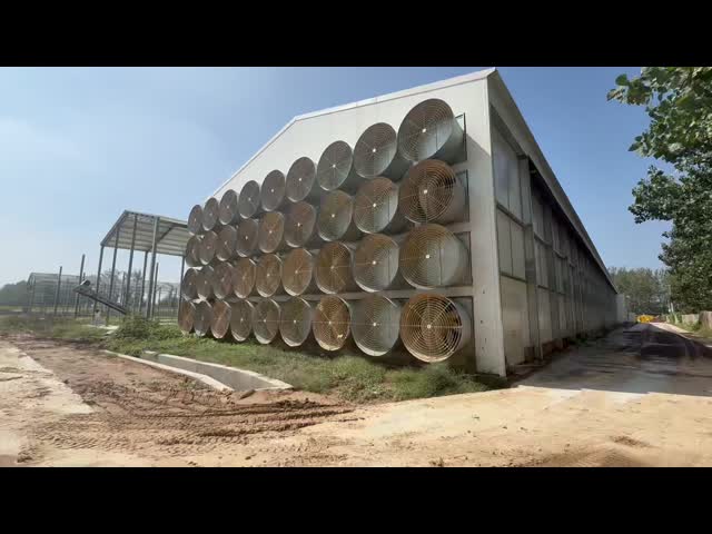 Fully Automatic Environmental Controlled System Battery Chicken Cages More Than 25 Years Life Span Optimized for Modern Poultry Farming Needs