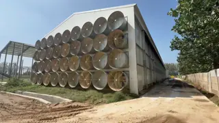 Fully Automatic Environmental Controlled System Battery Chicken Cages More Than 25 Years Life Span Optimized for Modern Poultry Farming Needs