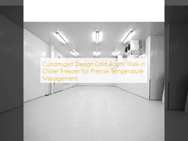 Customized Design Cold Room Walk-in Chiller Freezer for Precise Temperature Management