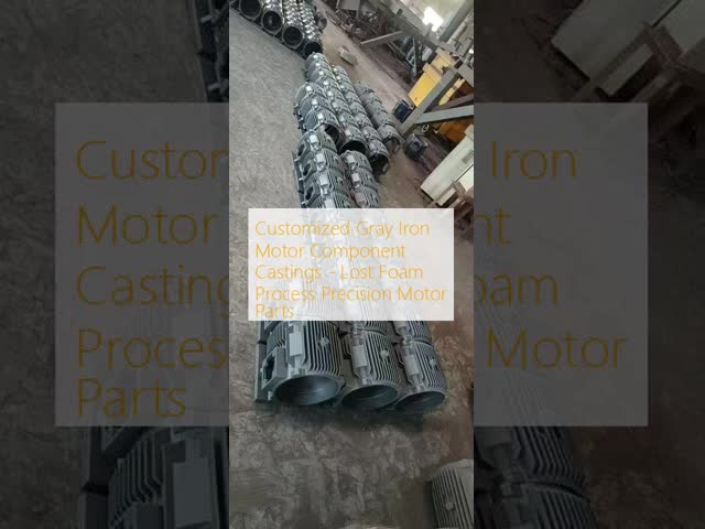 Customized Gray Cast Iron Lost Foam Casting Motor Parts with CT8-CT10 Dimensional Accuracy