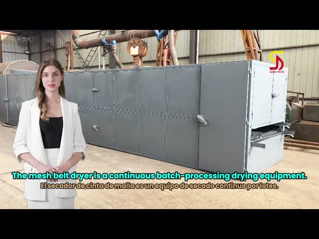 Continuous Operation Mesh Belt Dryer with Precise Temperature Control for Energy-Saving Drying of Building Materials