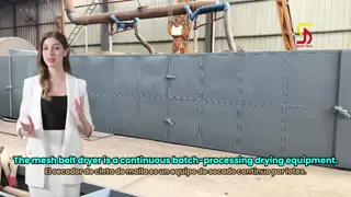 Continuous Operation Mesh Belt Dryer with Precise Temperature Control for Energy-Saving Drying of Building Materials