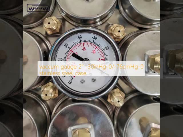 Steel Negative Pressure Gauge -0.1Mpa Back Mount 60mm Dial