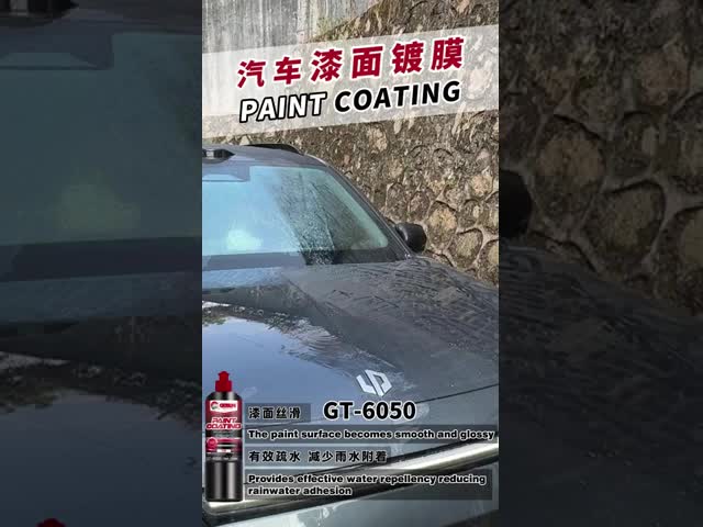 Factory Car Care Paint Protection Getsun Paint Coating Mirror Bright Water Displacement Protect the Paint