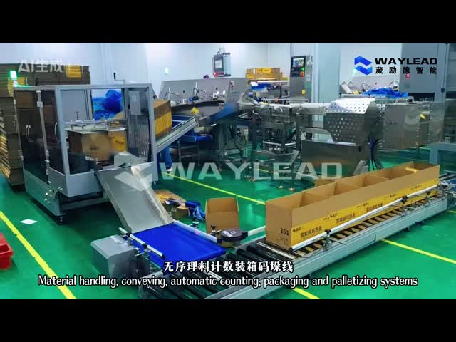 WP50 Intelligent Collaborative Palletizing Robot Maximum Compatible Pallet Size 1200mm 1100mm