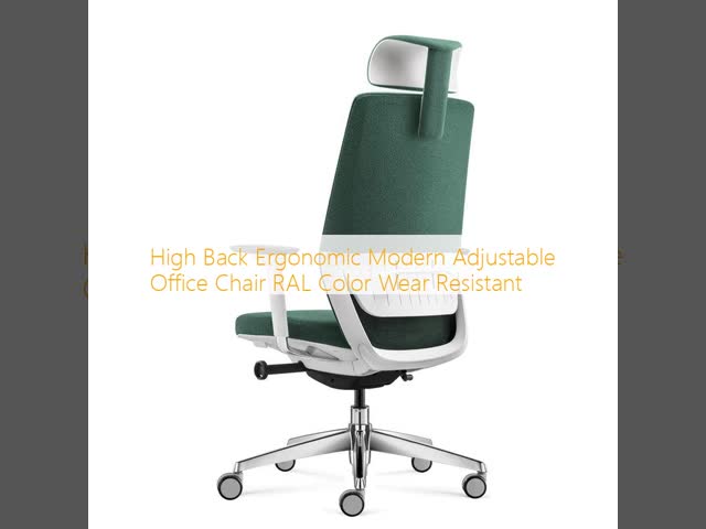 High Back Ergonomic Modern Adjustable Office Chair RAL Color Wear Resistant