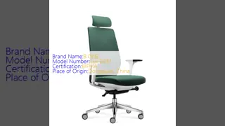 High Back Ergonomic Modern Adjustable Office Chair RAL Color Wear Resistant