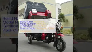 Cargo Chinese 3 Wheel Motorcycle 150CC Motorized with Carriage Cover
