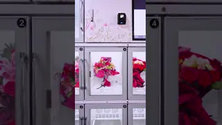 Halo 21,5 Zoll Touchscreen Blumenverkaufsautomaten mit Kühl- und Konservierungssystem, aus verzinktem Blechenmaterial