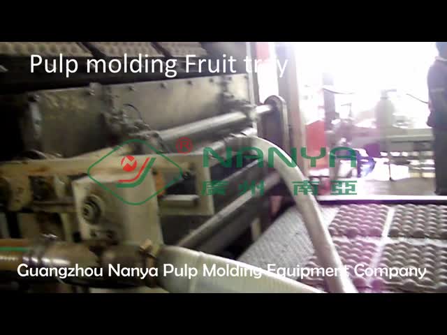 Automatic Pulp Molding Machine for Fruit tray/Egg tray/Egg box