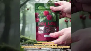 Food Grade Printed CMYK Full Color Snack Bag Biodegradable Plastic Packaging Custom Printed Mold Opening Free Design