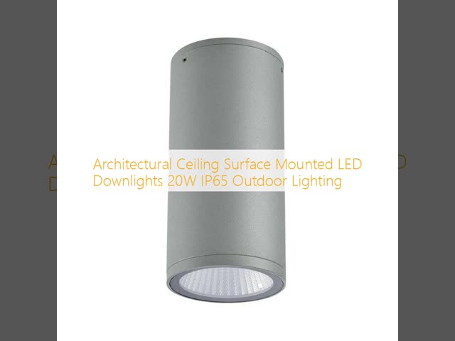 Architectural Ceiling Surface Mounted LED Downlights 20W IP65 Outdoor Lighting