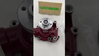 Water Pump 02937440 04503614 for BF4M1013 BF6M1013 Engine