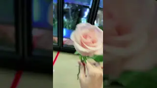 flower vending machine