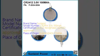 CR2412 3.0V 100MAH Li-MnO2 Battery Long Strong Life