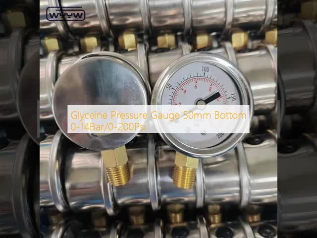 Liquid Filled Pressure Gauge 50mm Bottom 1/4