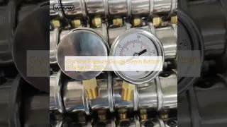 Liquid Filled Pressure Gauge 50mm Bottom 1/4