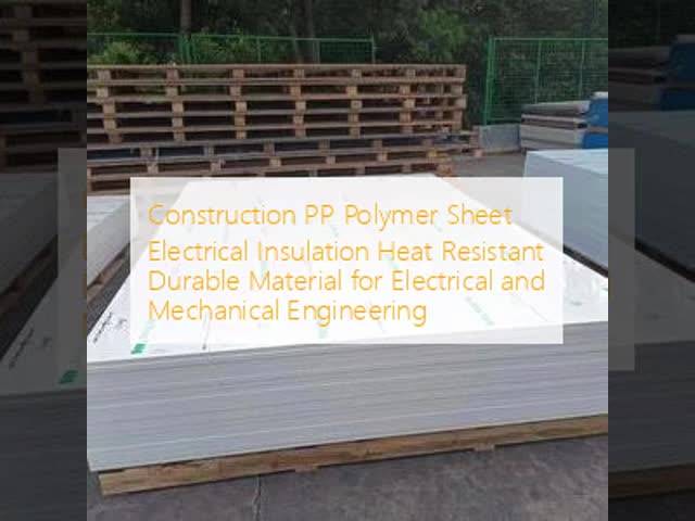 Construction PP Polymer Sheet Electrical Insulation Heat Resistant Durable Material for Electrical and Mechanical Engineering