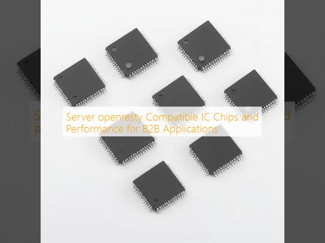 Server openresty Compatible IC Chips and Performance for B2B Applications