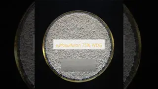 sulfosulfuron 75% WDG