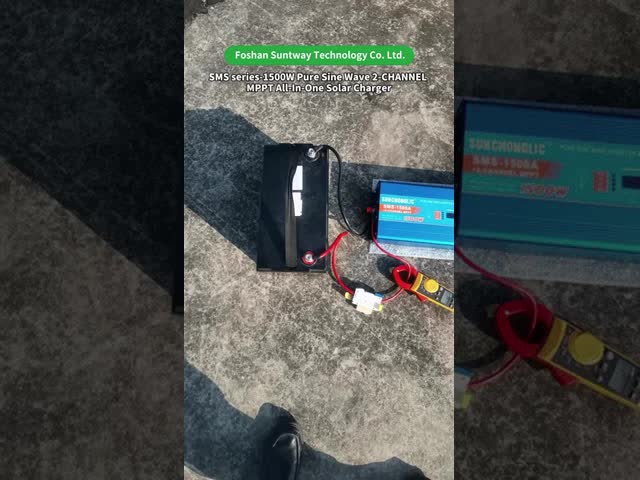 1000W Pure Sine Wave Inverter with 30A MPPT Solar Charger and 220V AC Output for Off-Grid Power