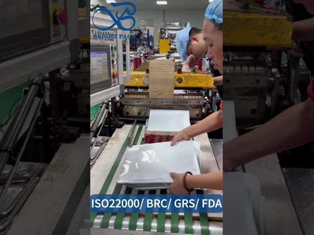 Pure Aluminum Foil Vacuum Bag 10 Silk