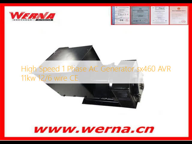 High Speed 1 Phase AC Generator sx460 AVR 11kw 12/6 wire CE