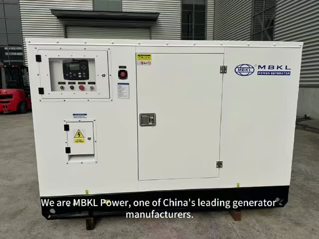 Compact 62.5KVA Silent Diesel Generator - Yuchai Engine with Automatic Safety Features
