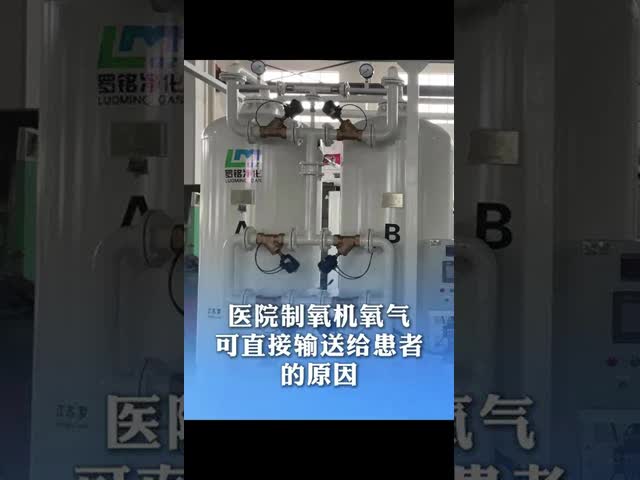 Oxygen Generator for Nursing Homes 93% Purity Provide Daily Oxygen Service for Elderly Care