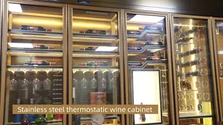 304 Stainless Steel Temperature Controlled Wine Cabinet Dust Proof With LED Lights