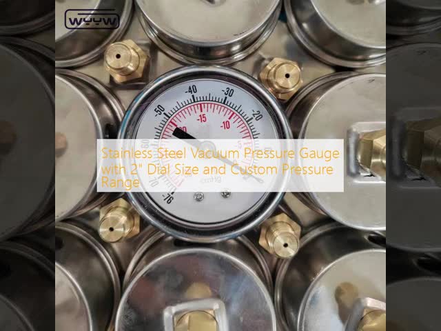 Stainless Steel Vacuum Pressure Gauge with 2