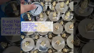 Stainless Steel Vacuum Pressure Gauge with 2