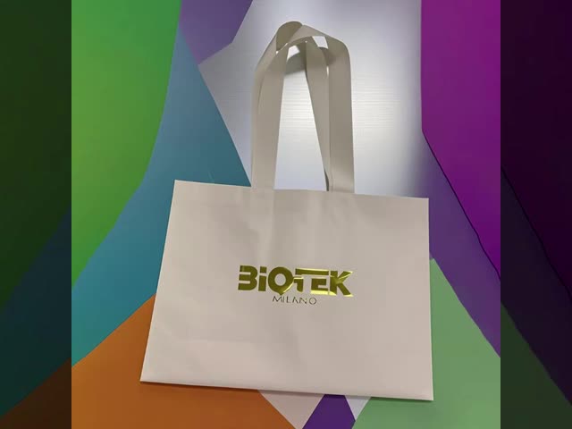 Retort Pouch Plastic Bags Large Capacity Die Cut Handle Printed Personalized Logo Customized Shopping Bags CPE Material